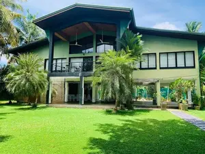 malaysian Grass
