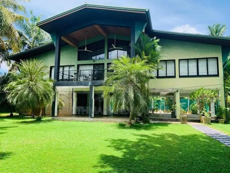 malaysian Grass