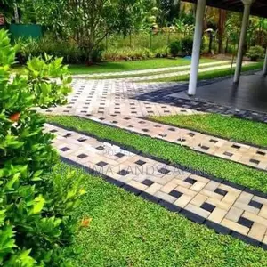 malaysian Grass