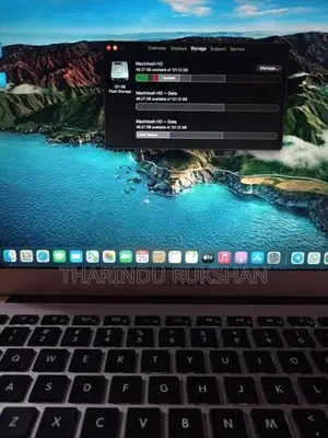 macOS big sur