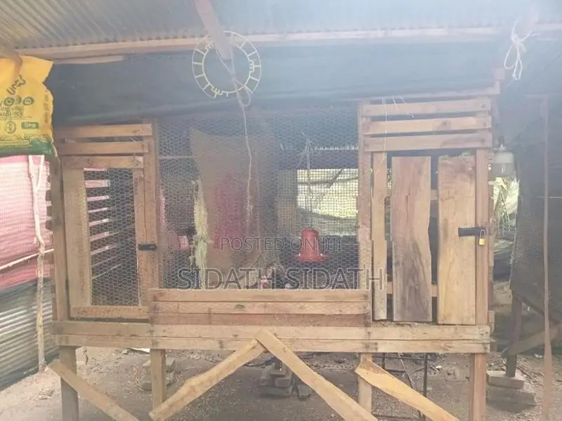 කුකුල් කූඩු
