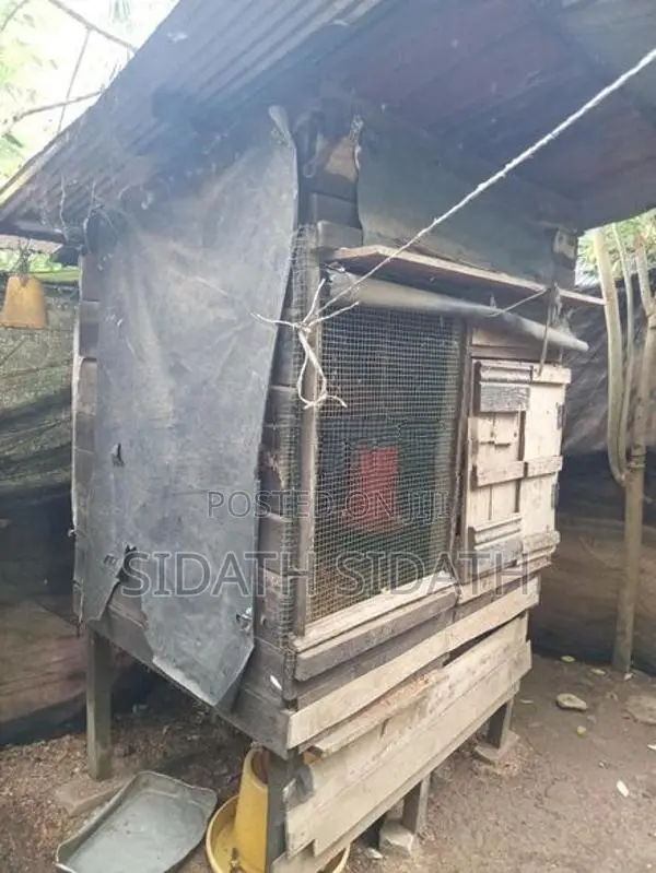 කුකුල් කූඩු