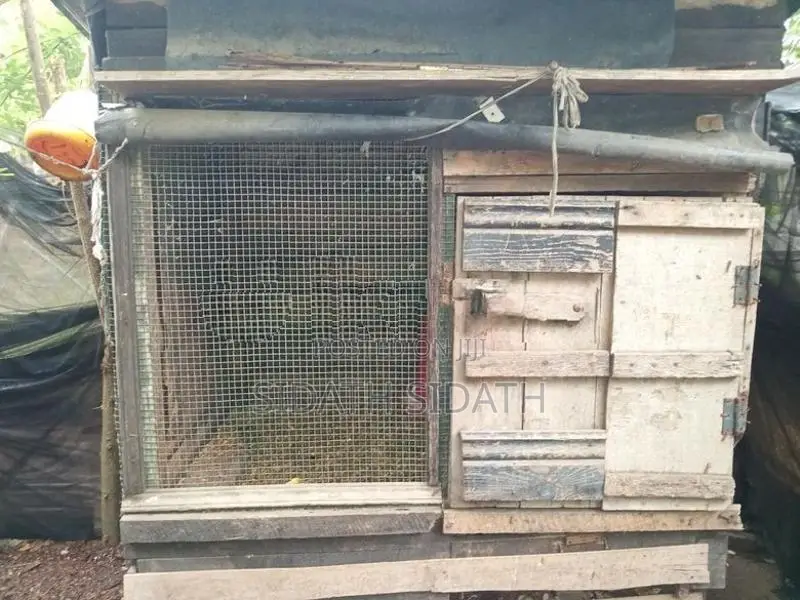 කුකුල් කූඩු