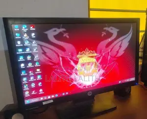 HP Monitor