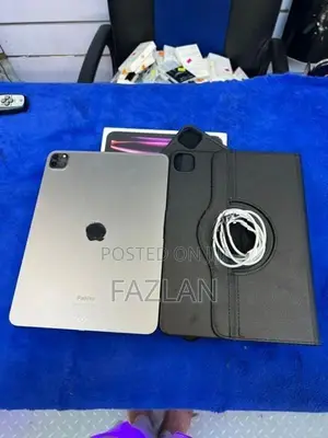i Pad Pro (11-inch) 4th generation M2 Space Gray 256 GB