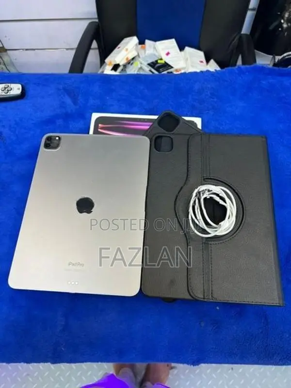 i Pad Pro (11-inch) 4th generation M2 Space Gray 256 GB