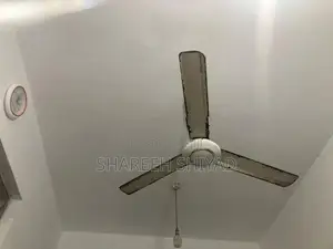 Ceiling Fan