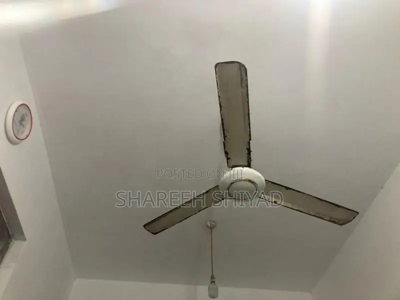 Ceiling Fan