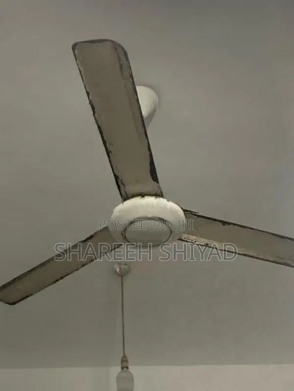 Ceiling Fan
