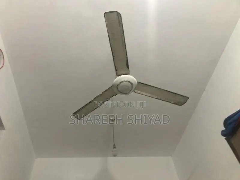 Ceiling Fan