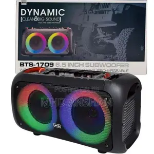 Brodu BT Speaker