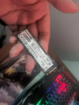 256GB SSD