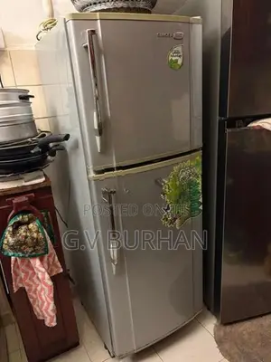 Singer Fridge