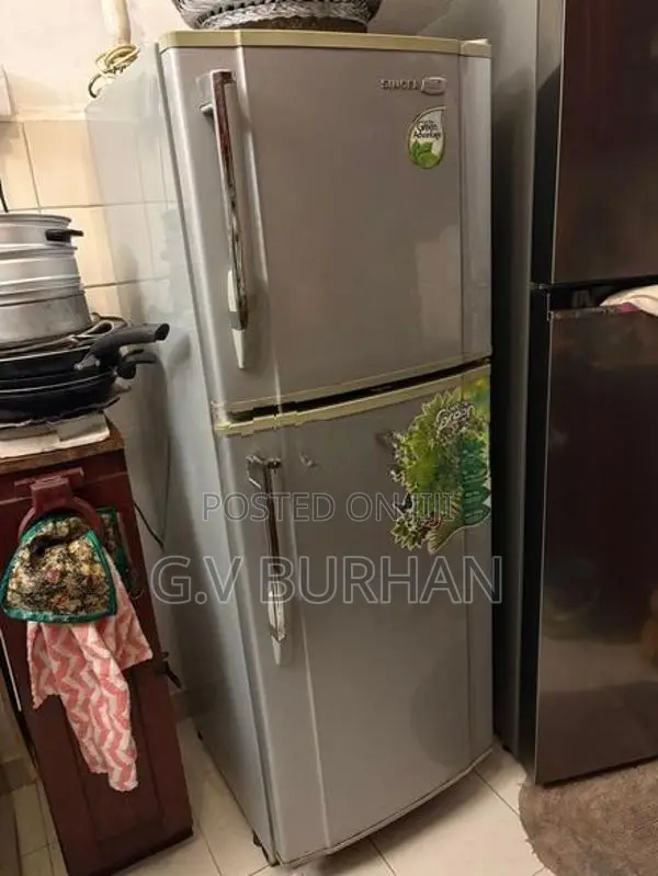 Singer Fridge