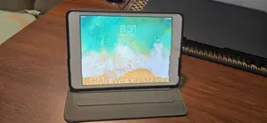 Apple iPad Mini