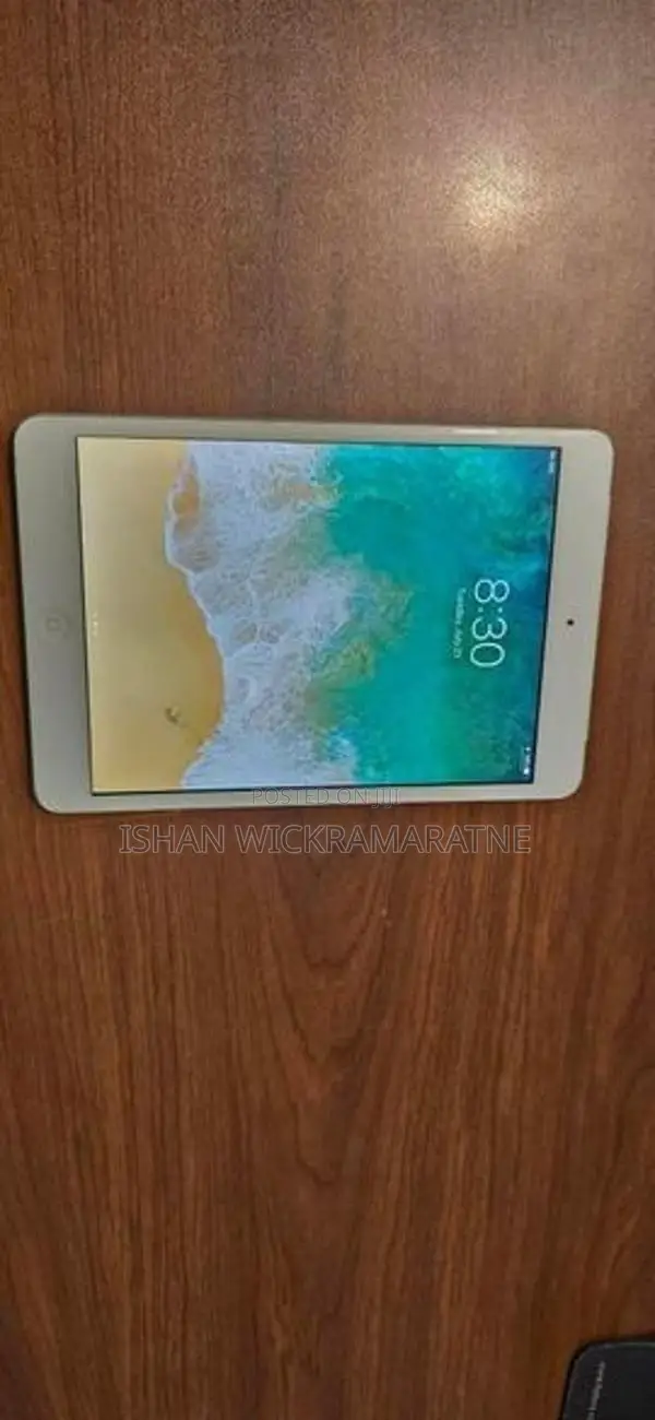 Apple iPad Mini