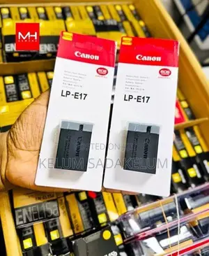 Canon Nikon Sony Camera Battery / Charger
