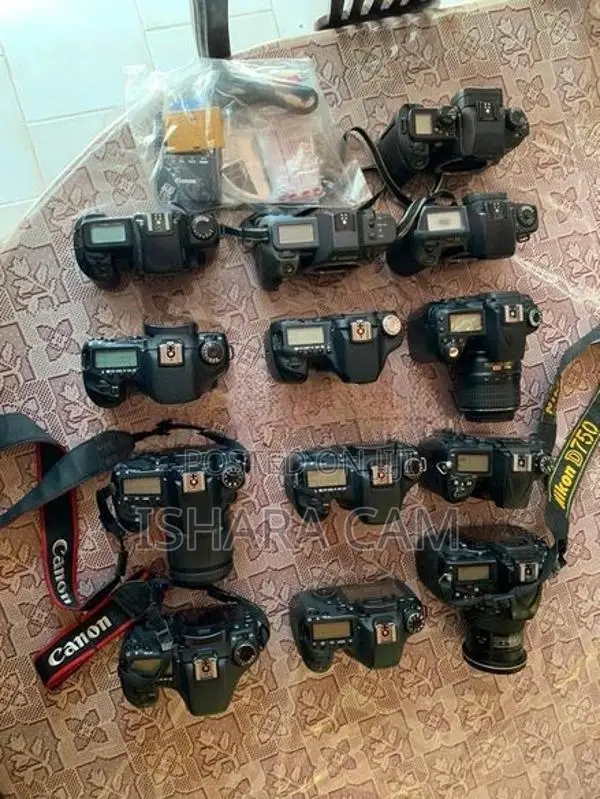 canon 6D DSLR stock