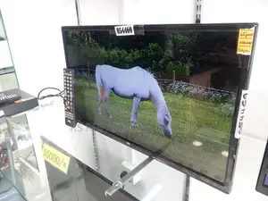 SGL 24 Inch LED TV