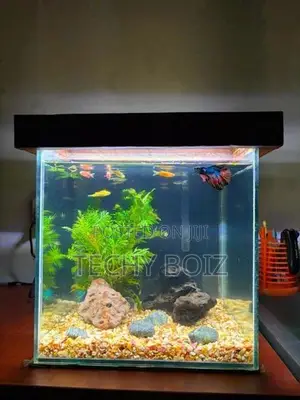 Cube Fish Tank Set
