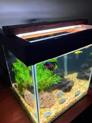 Cube Fish Tank Set