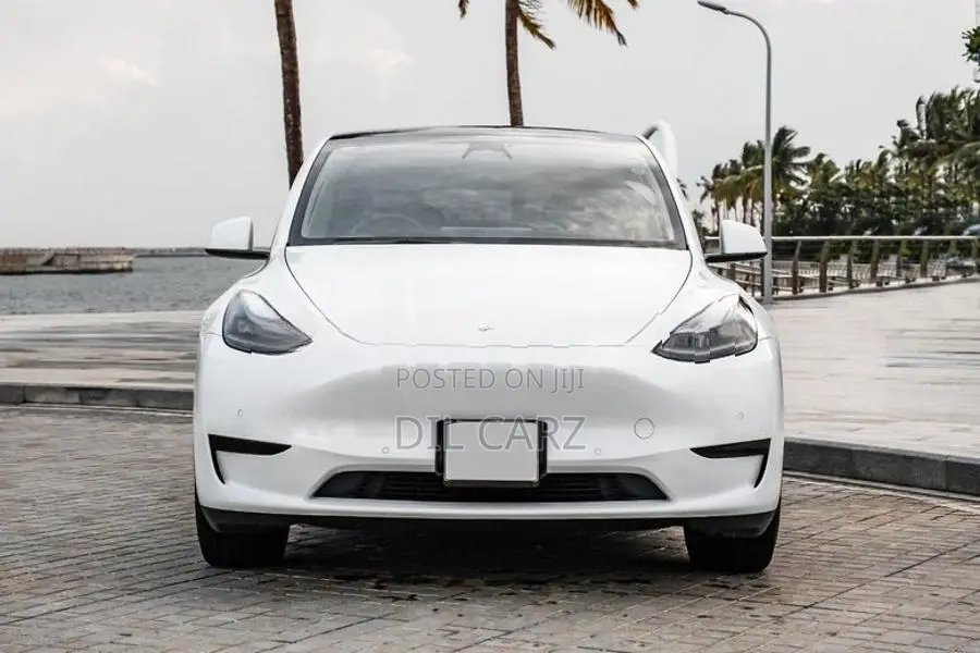 Tesla Model Y Long Range Full Spec 2025