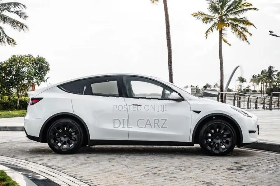 Tesla Model Y Long Range Full Spec 2025