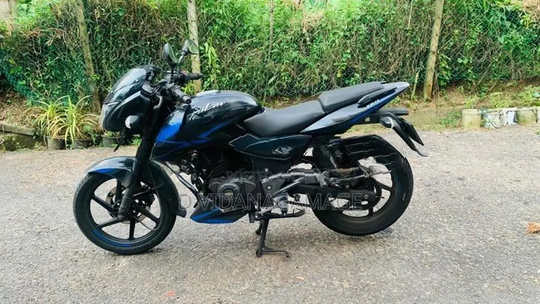 Bajaj Pulsar 150 Twin Disk 2019