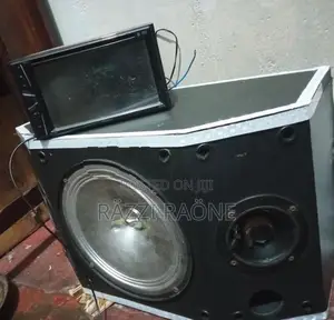 Vehicle Subwoofer