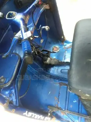 Bajaj RE 1994