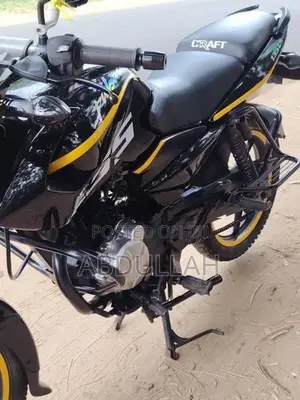 Bajaj Pulsar 135 2010