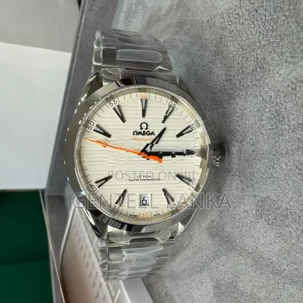 Omega Seamaster Aqua Terra Watch