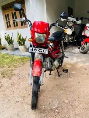 Singer Safari 2019