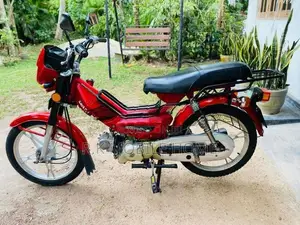 Singer Safari 2019