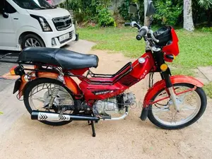 Singer Safari 2019