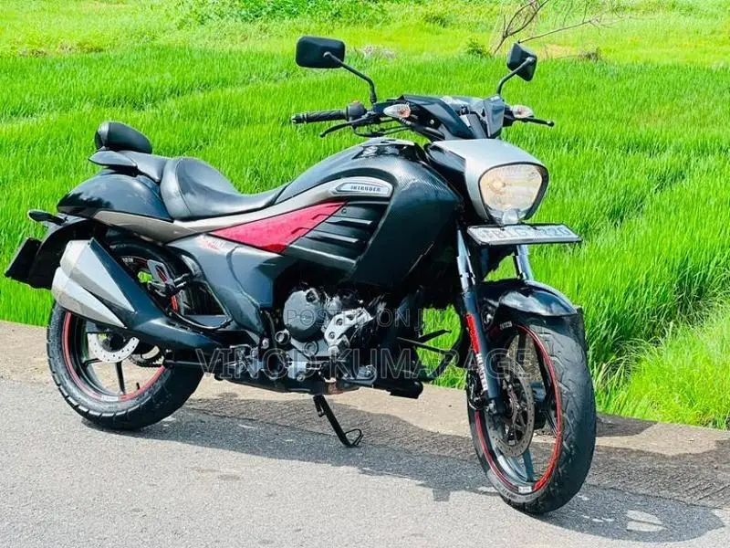 Suzuki Intruder 2019