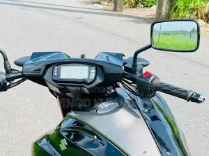 Suzuki Intruder 2019