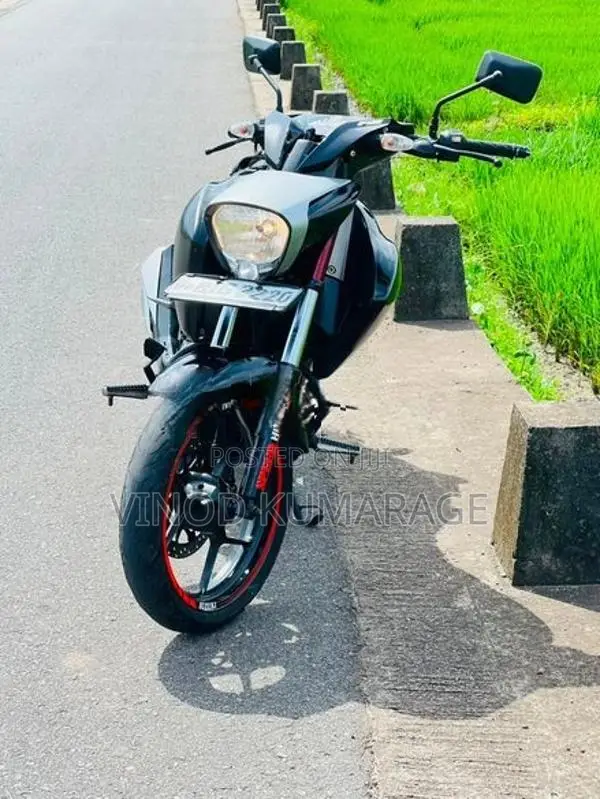 Suzuki Intruder 2019