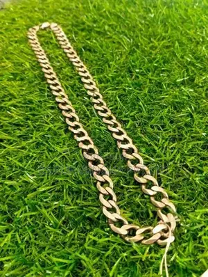 Silver Chain 65G 500MG