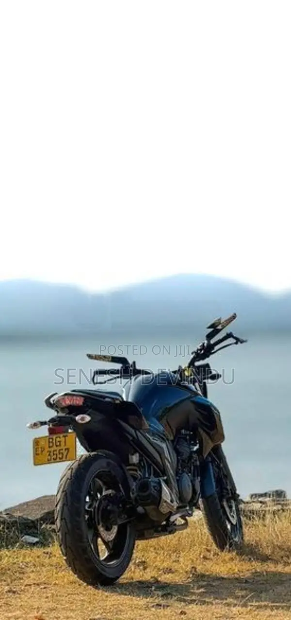 Yamaha FZ25 2018