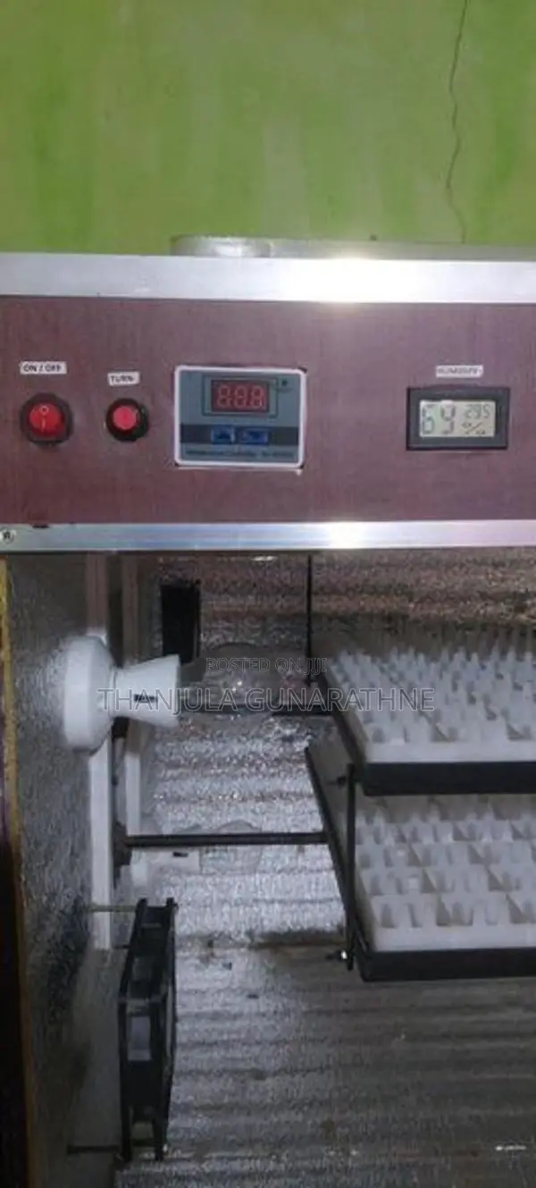 Egg Incubator