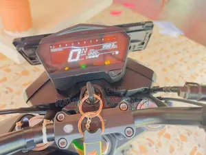 Hero Hunk 160R 2025