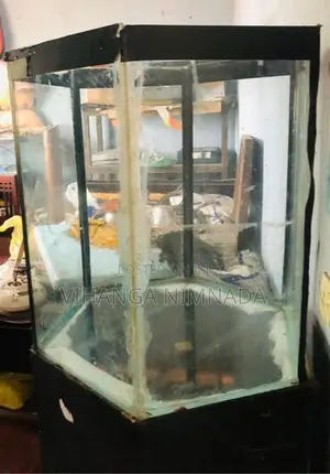 Aquarium