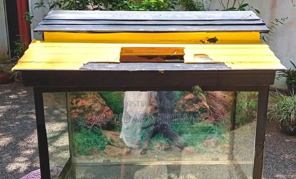Fish Tank with Stand