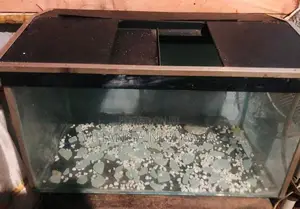 Aquarium