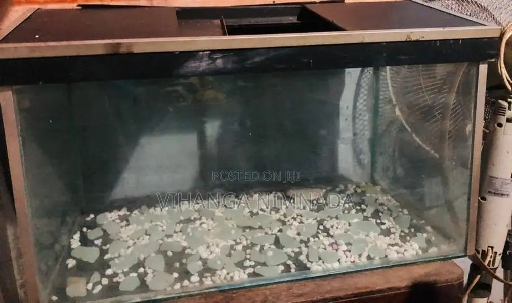Aquarium
