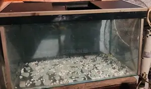 Aquarium