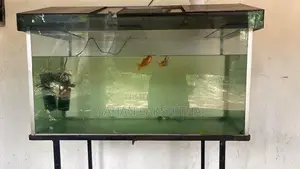 Fish Tank