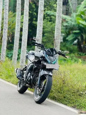 Yamaha FZs V
