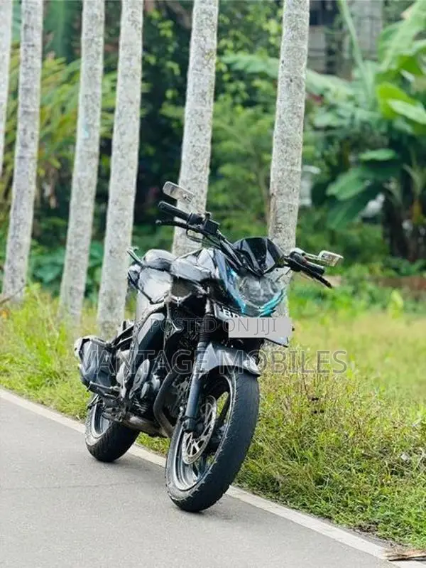 Yamaha FZs V